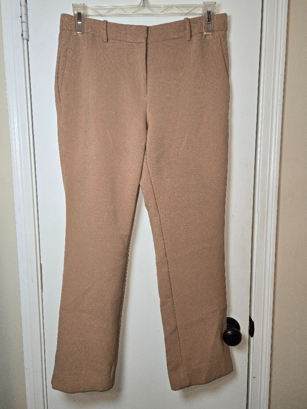 Ann Taylor Size 8 Mid Rise Stretch Pants Bundle Camel & Deep Teal